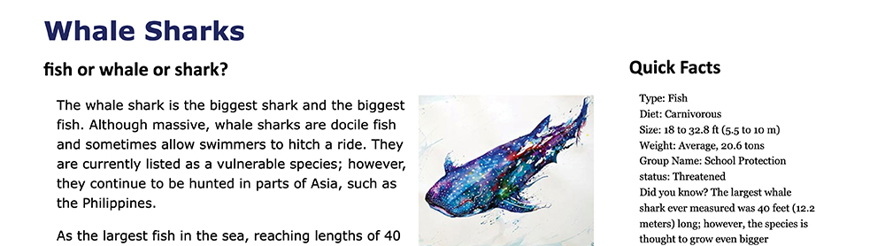 Web Typography